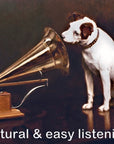 CanEver ZeroUno DAC PLUS