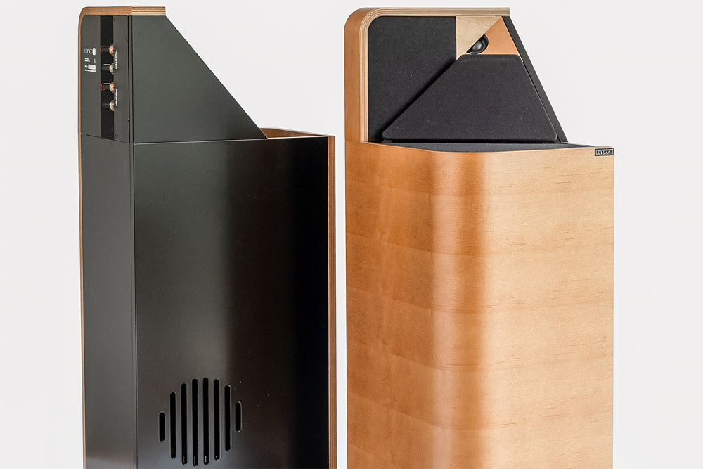 Larsen Ortho Acoustic Speakers – Hintergrund und Theorie